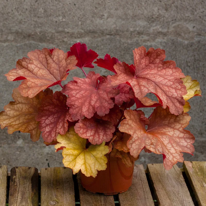 Фото 3