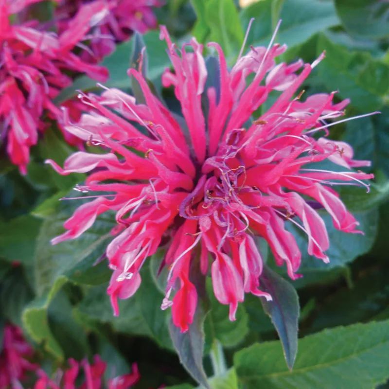 Фото 2
