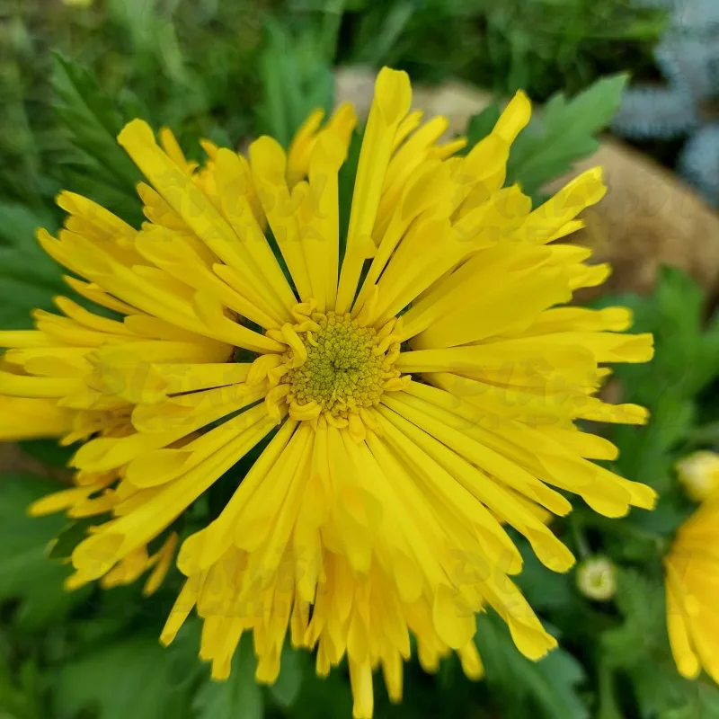 Фото 6
