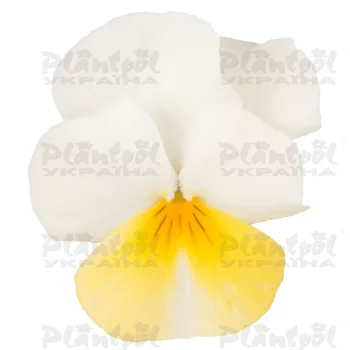 Фото 1