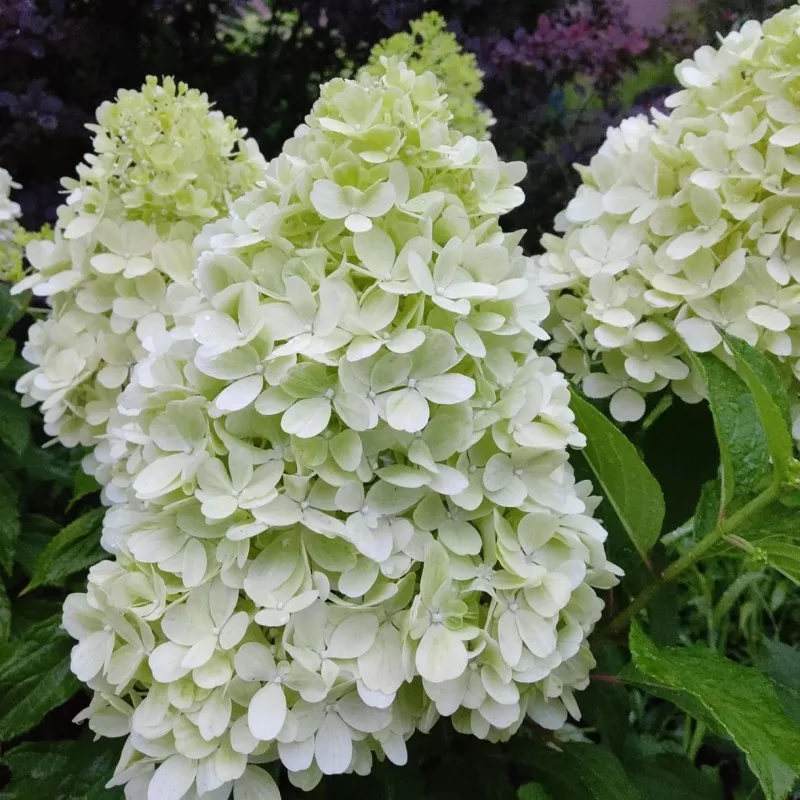 Фото 2