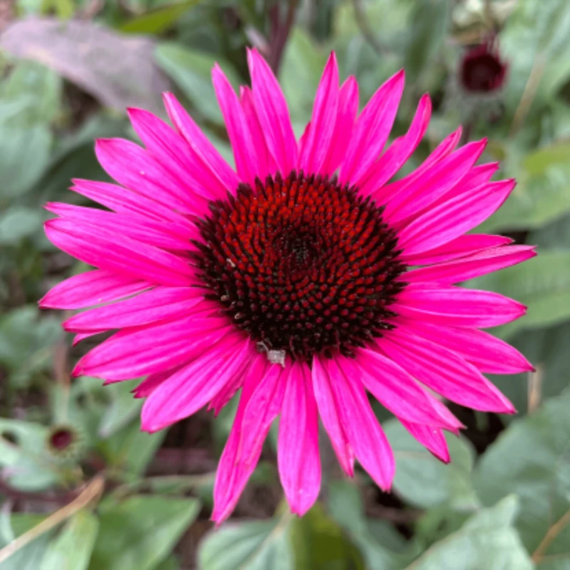 Фото 3