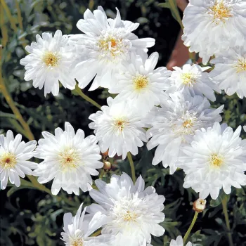 Фото 2