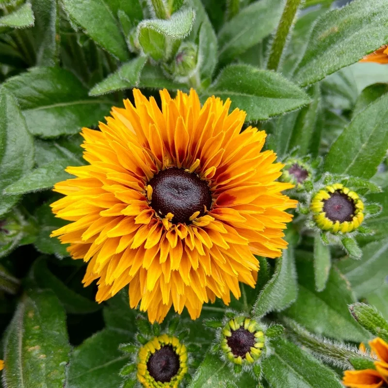 Фото 2