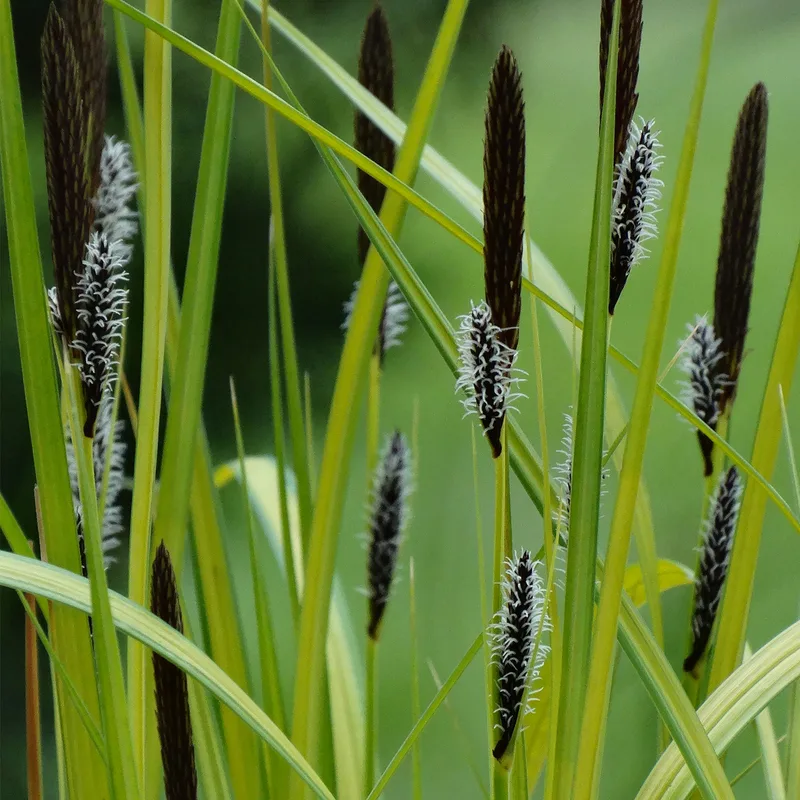 Фото 2