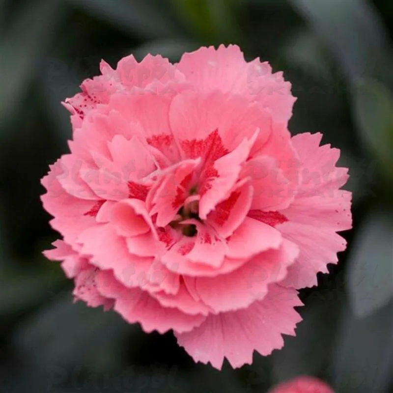 Фото 2