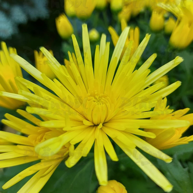 Фото 6