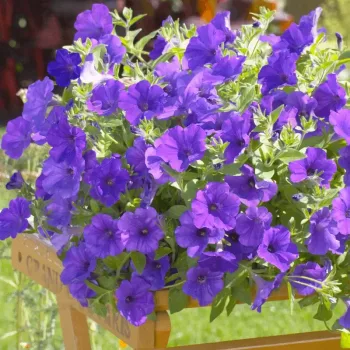 Фото 2