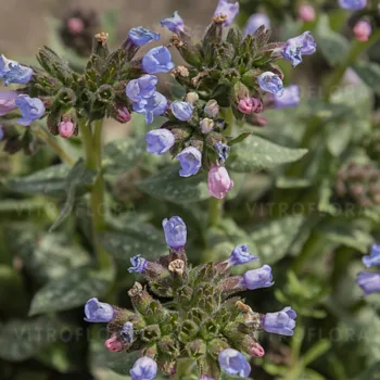 Фото 1