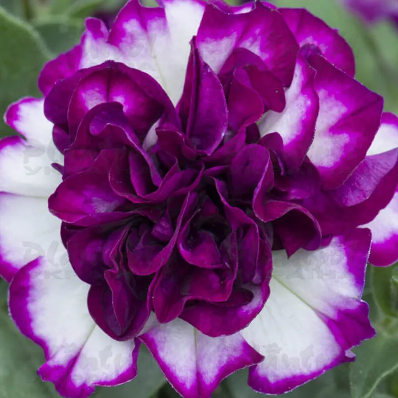 Фото 2