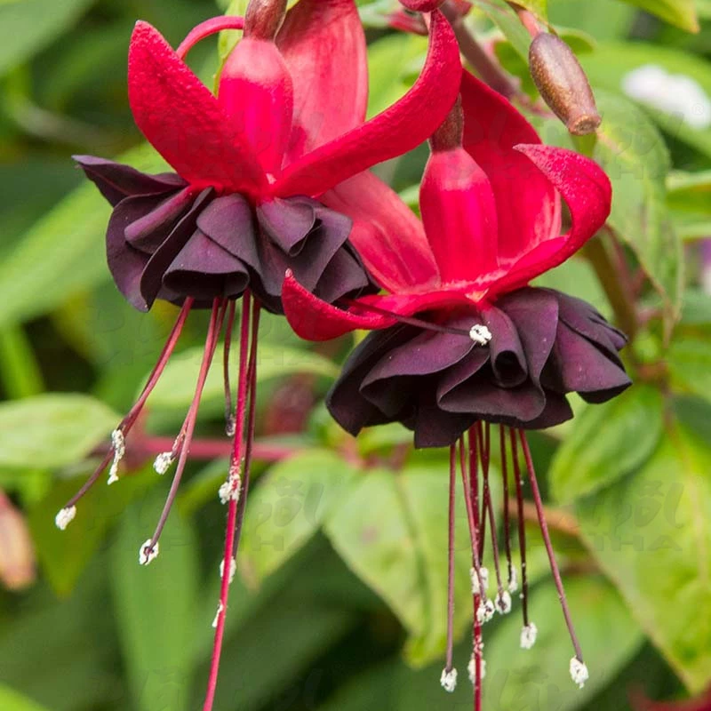 Фото 3