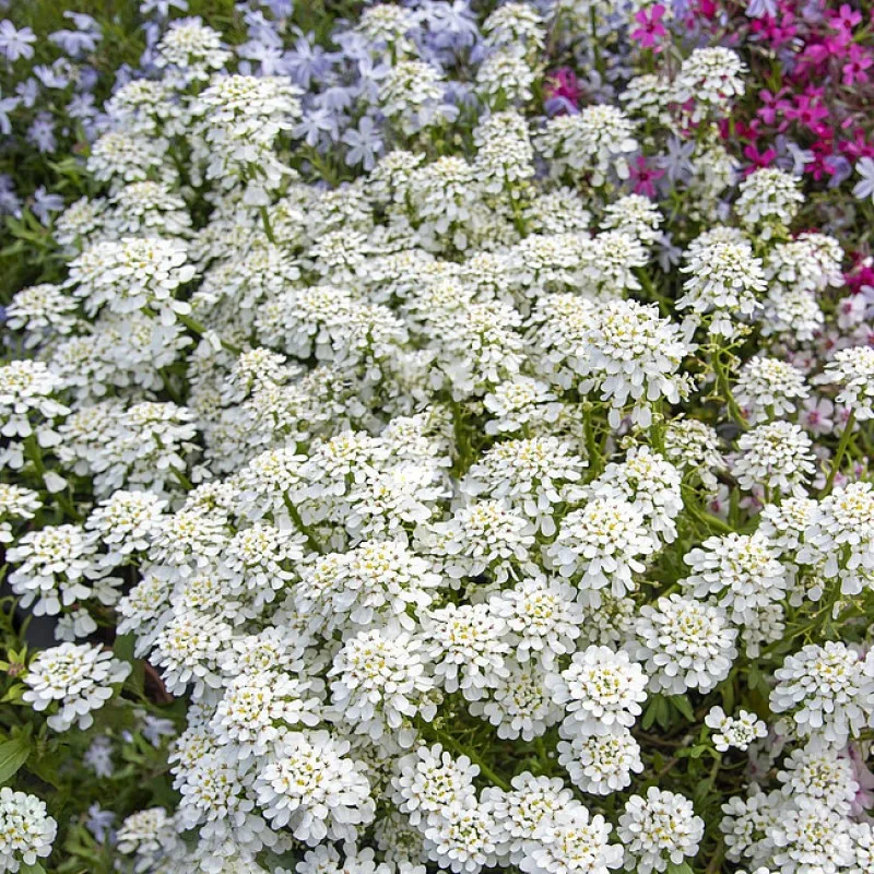 Фото 2