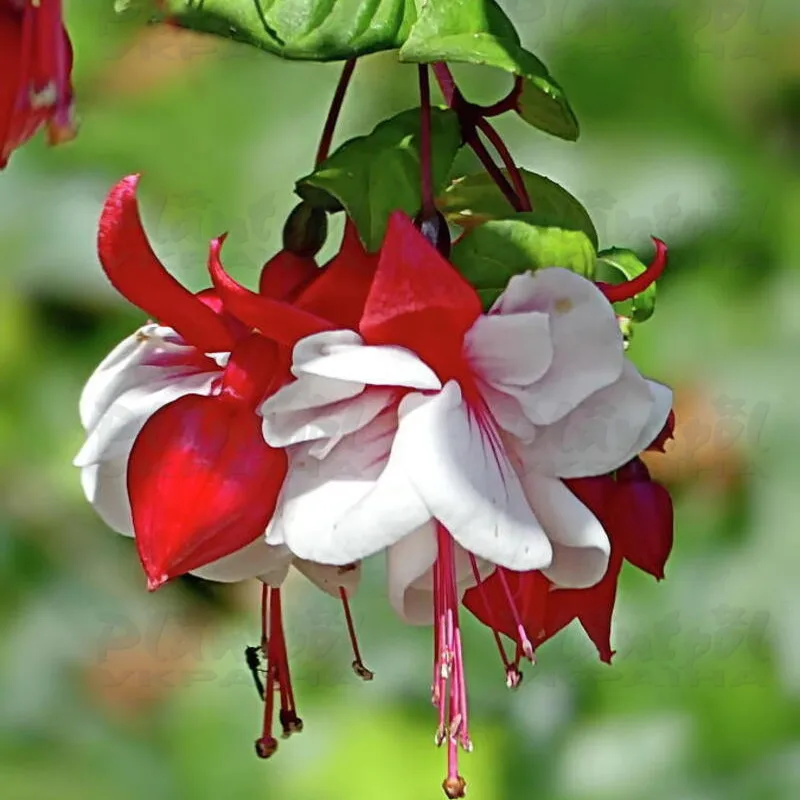 Фото 2