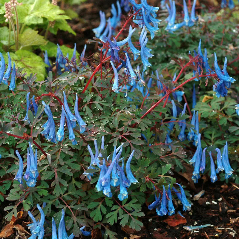 Фото 2