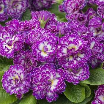 Фото 2