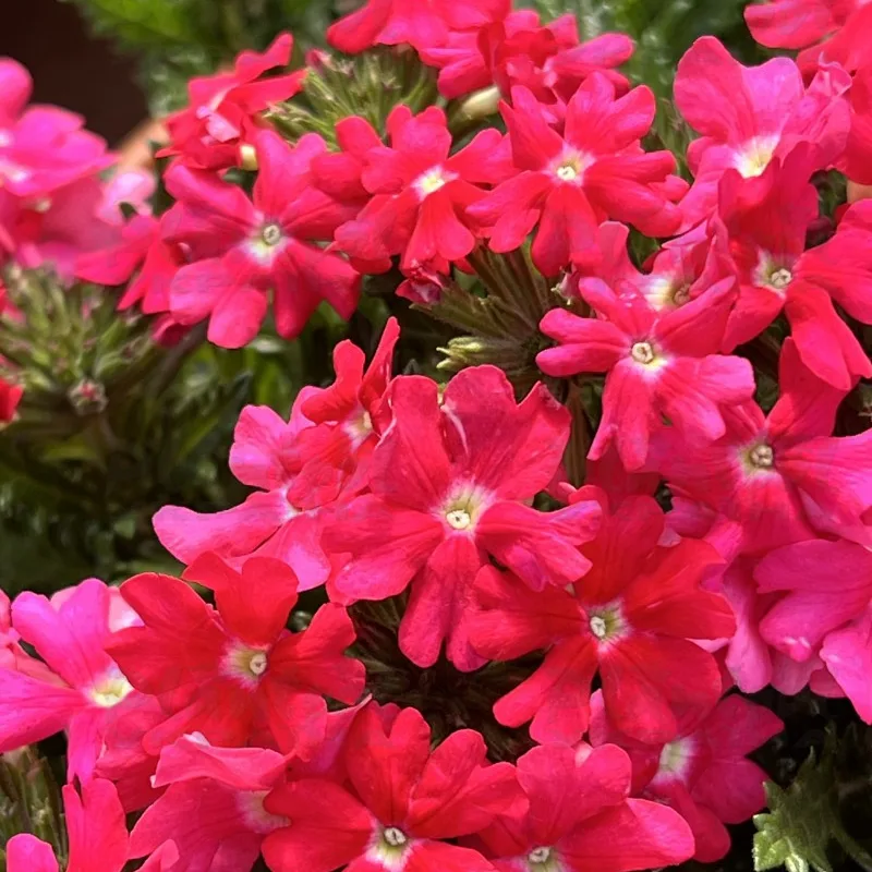 Фото 3