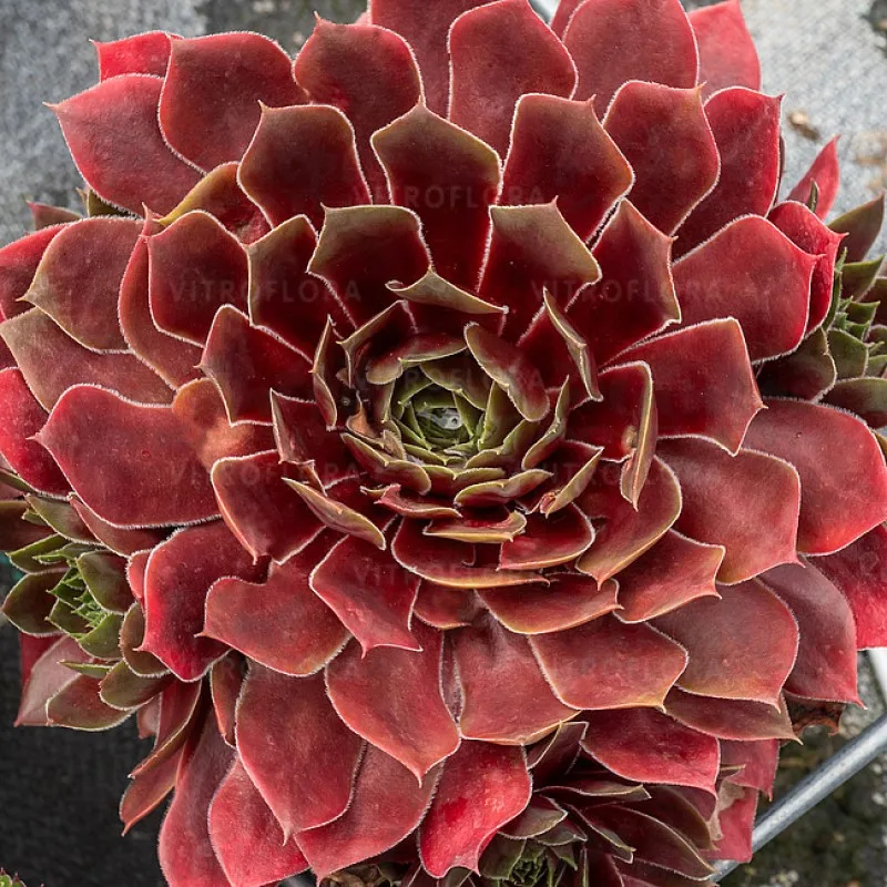 Фото 2
