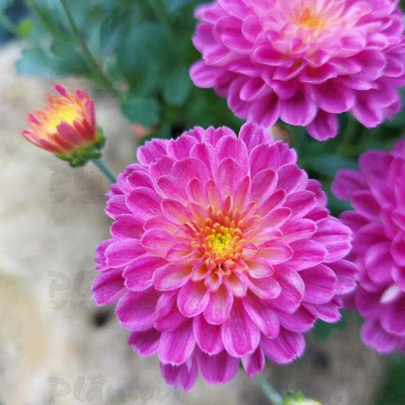 Фото 6