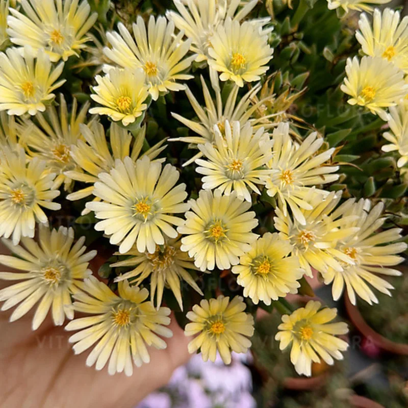 Фото 1