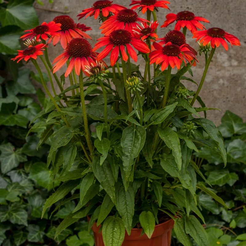 Фото 2