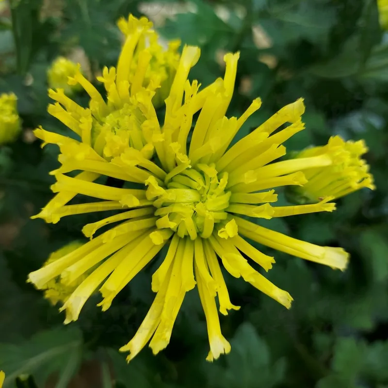Фото 6