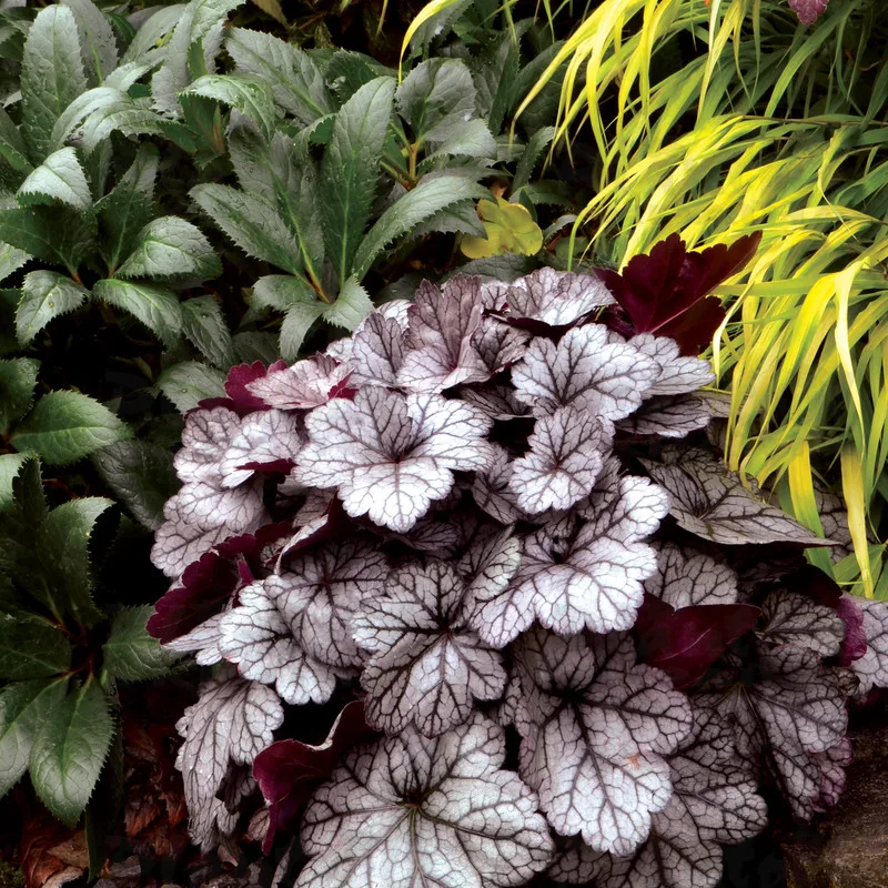 Фото 1