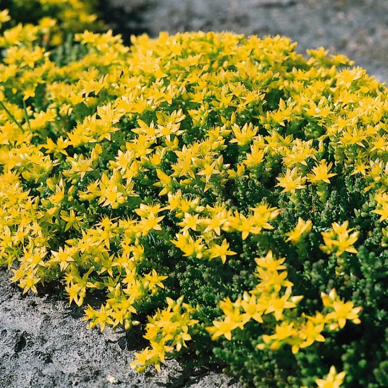 Фото 1