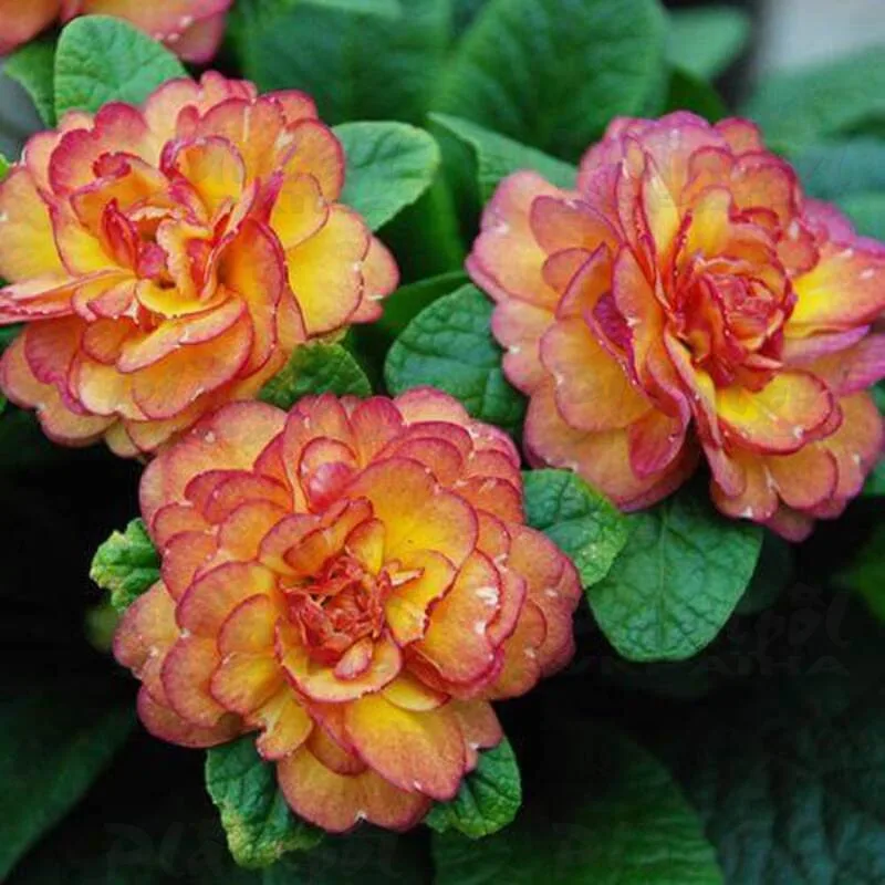 Фото 2
