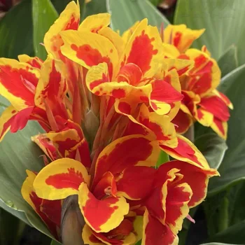 Фото 2