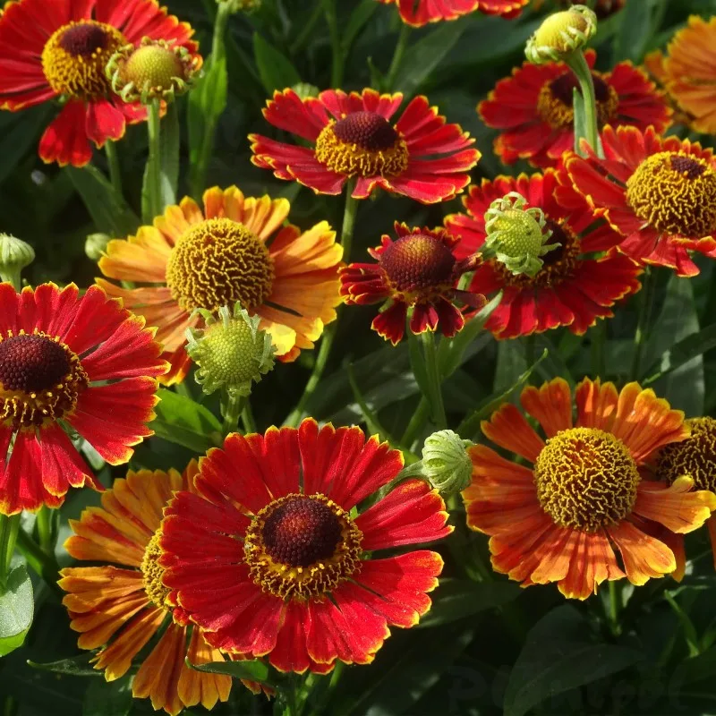 Фото 2