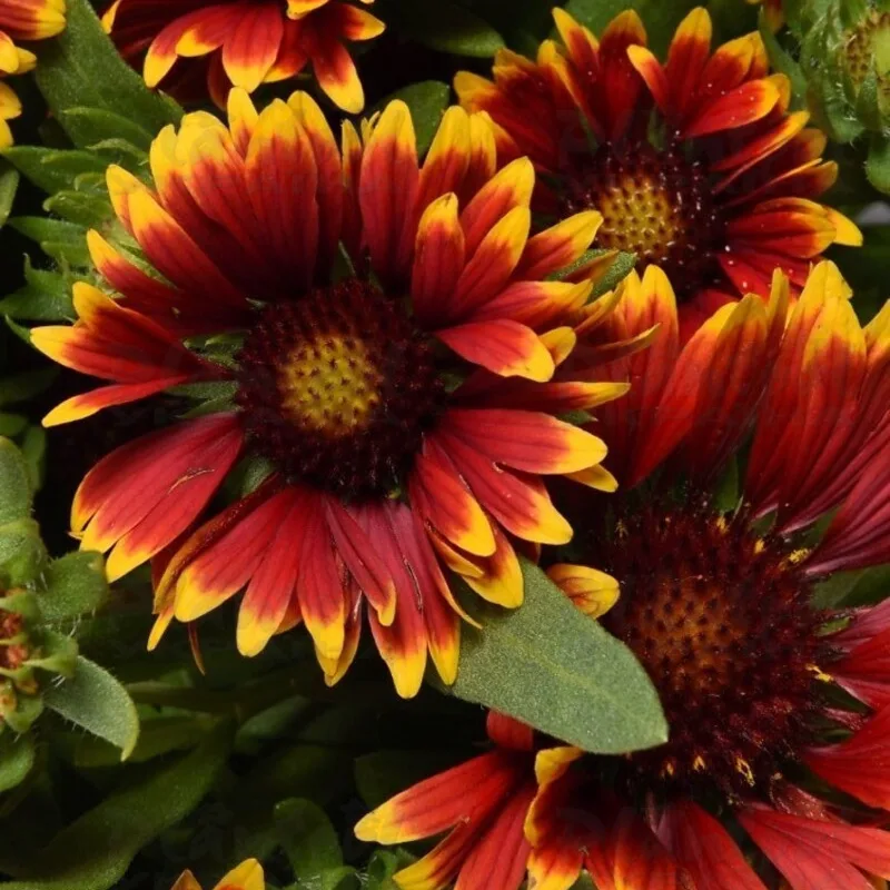 Фото 2