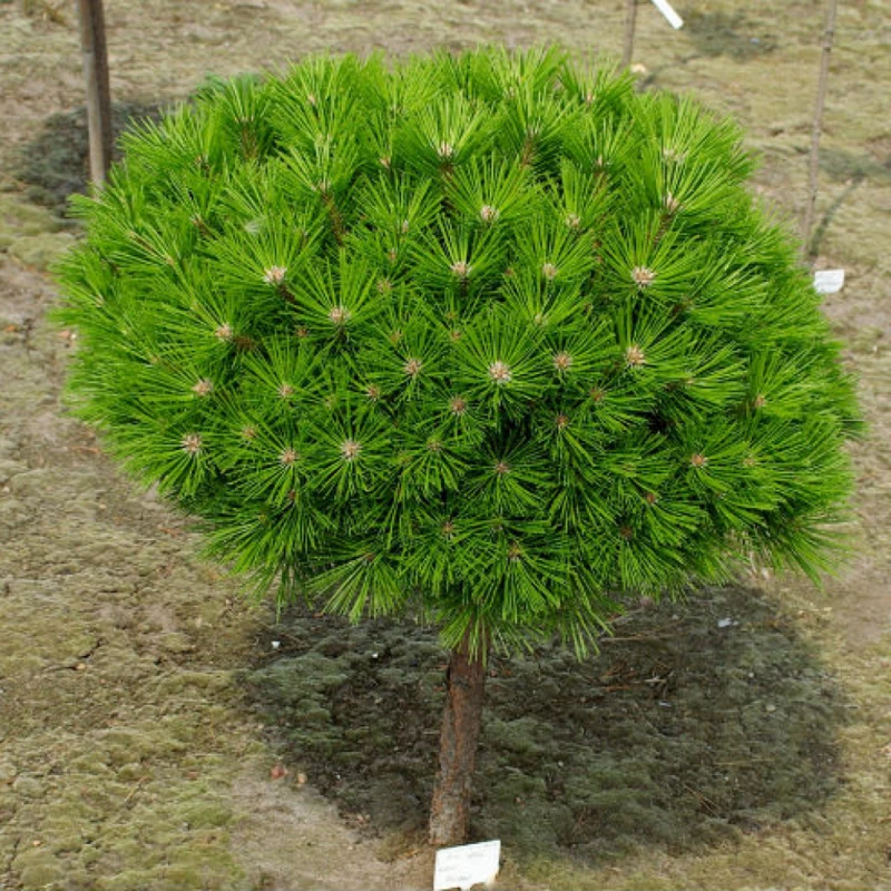 Фото 1