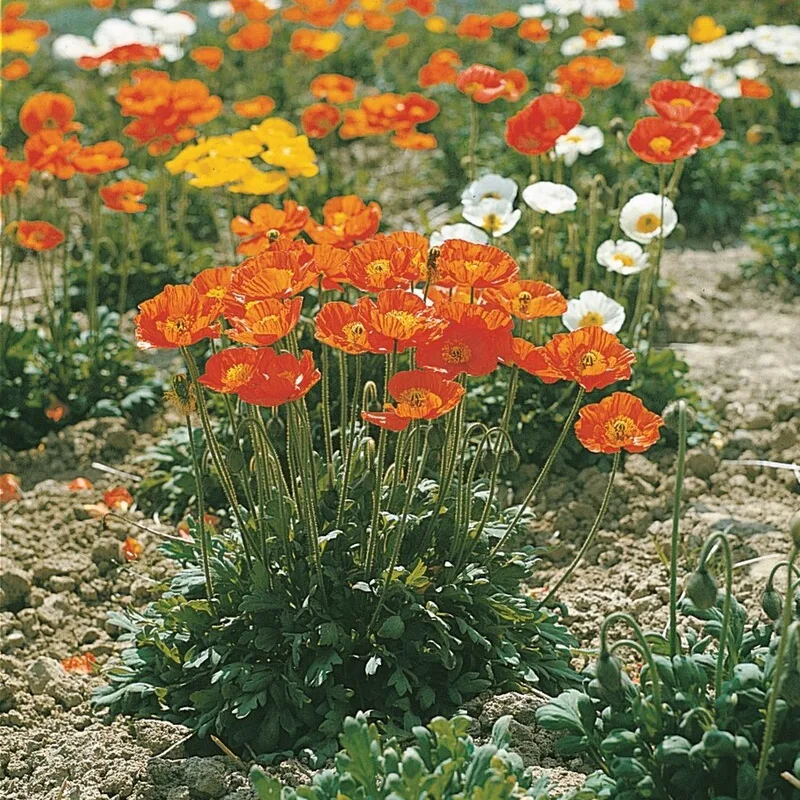 Фото 2