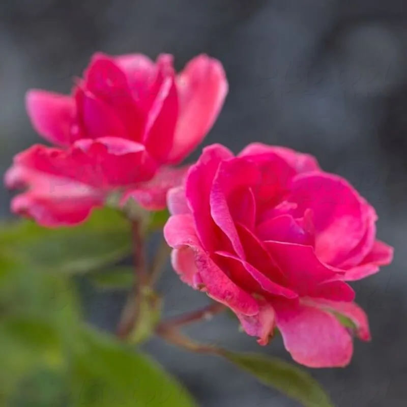 Фото 2