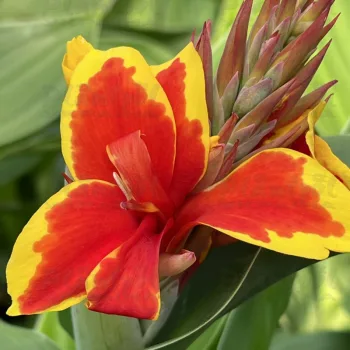 Фото 3