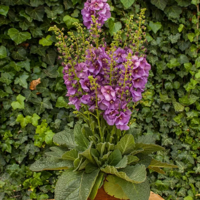 Фото 2