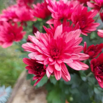 Фото 6