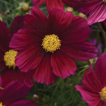Фото 2