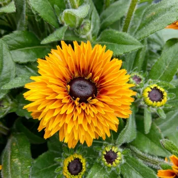 Фото 2
