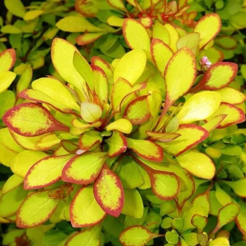 Фото 2