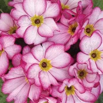 Фото 2