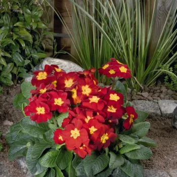 Фото 2