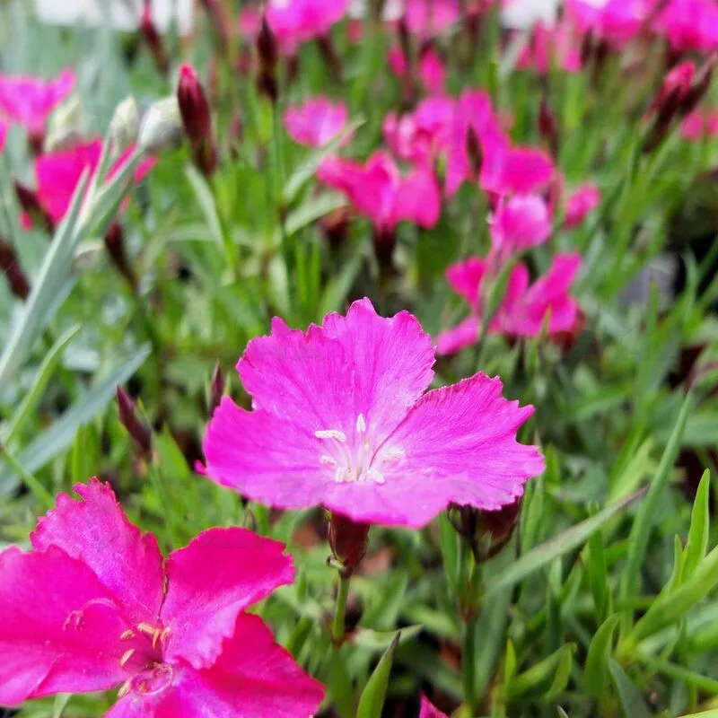 Фото 1