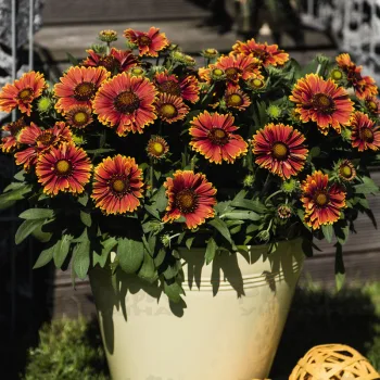 Фото 2