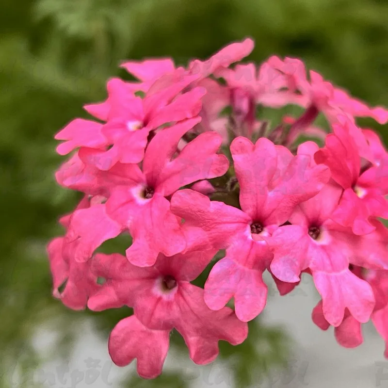 Фото 3
