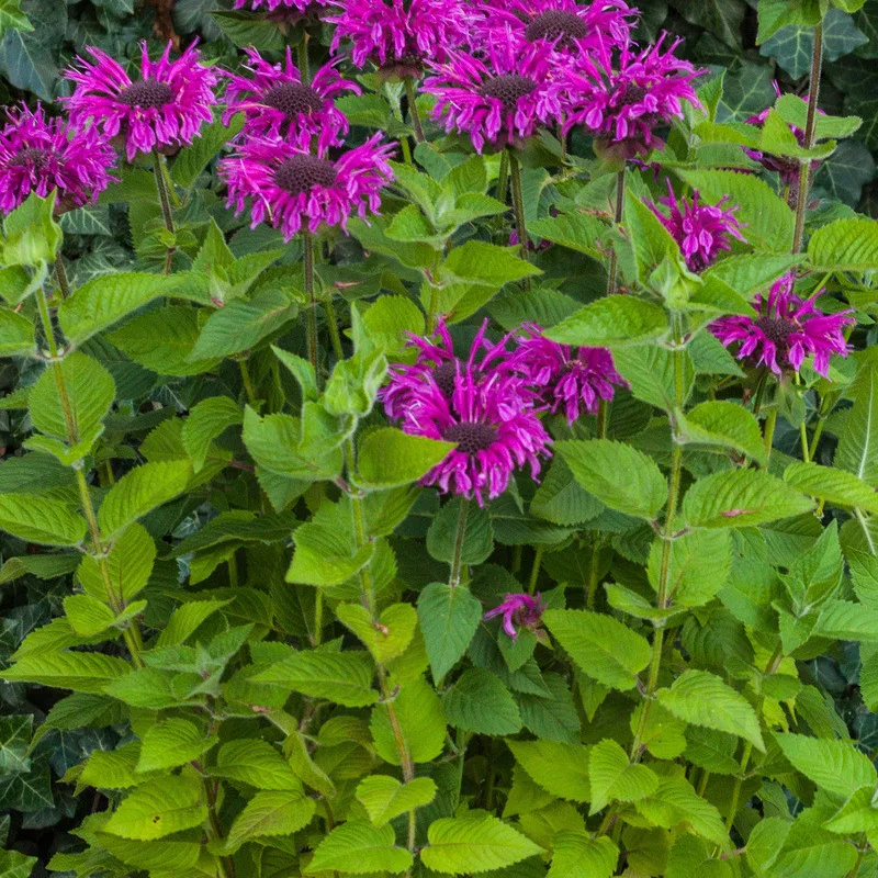 Фото 2