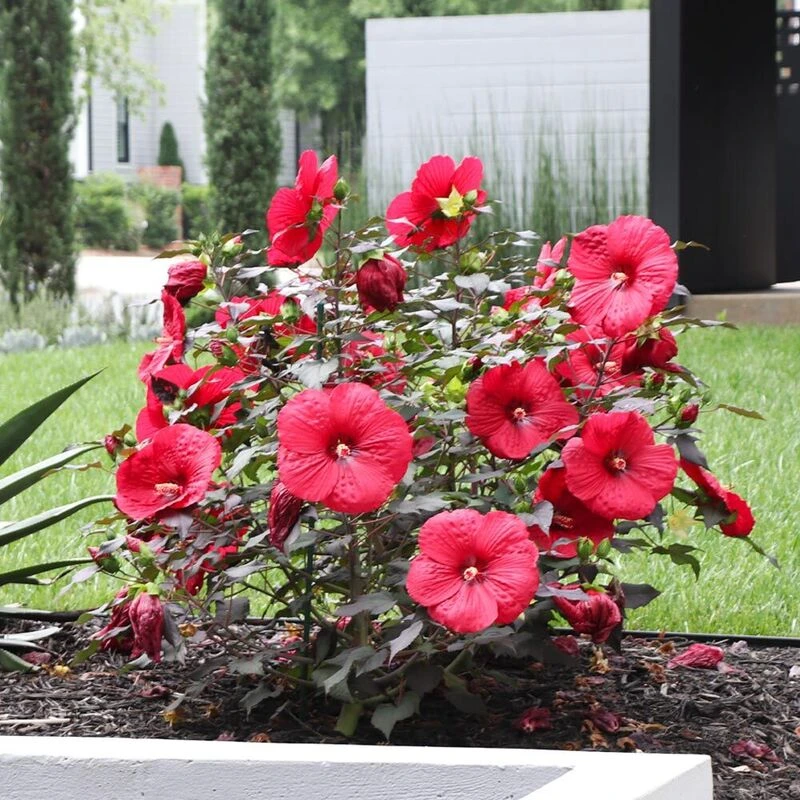 Фото 2