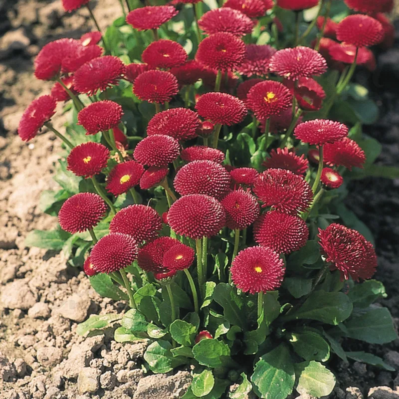 Фото 2