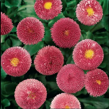 Фото 2