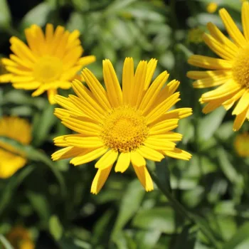 Фото 2
